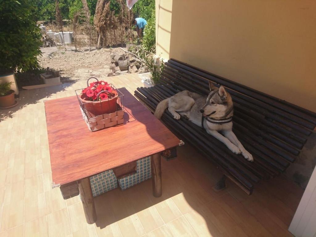 Casita Entre Naranjas Villa Formentera de Segura Kültér fotó